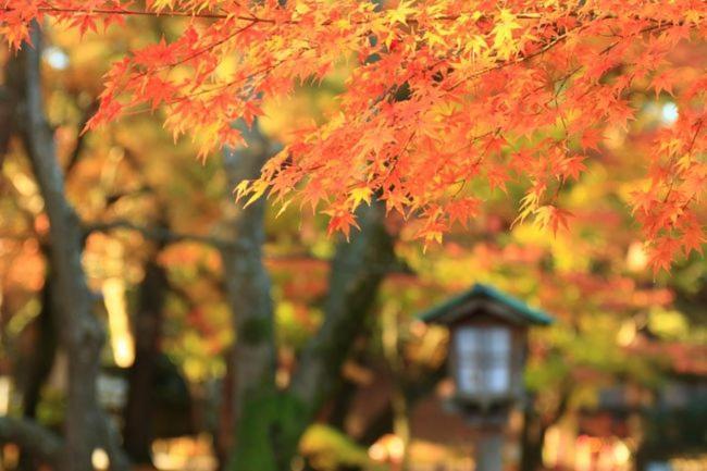 Kanazawa Guest House Nana Luaran gambar